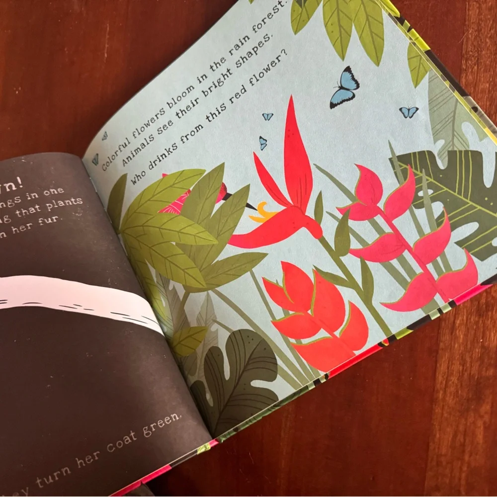 Usborne Shine a Light + Natl Geographic Book Bundle | Homeschool Science | 3 Bks - Picture 7 of 7